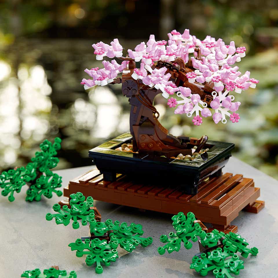 Best Lego Botanical Collection Bonsai Tree of all time Don t miss out ...