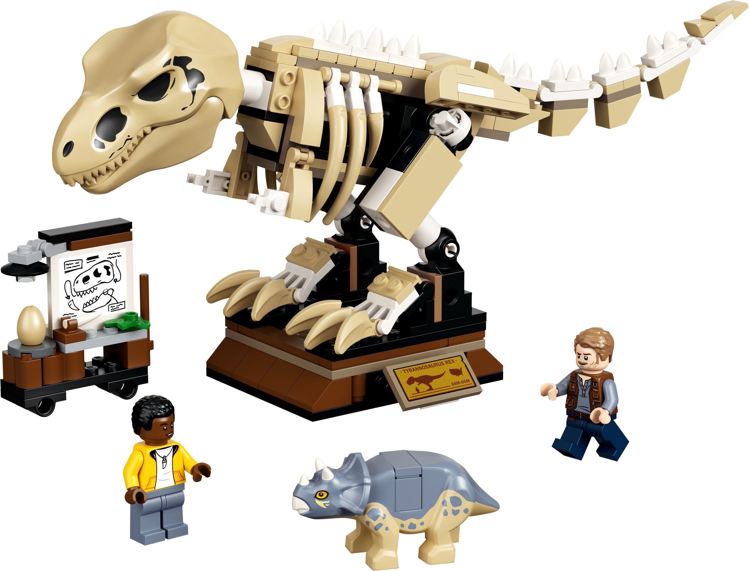T. Rex Dinosaur Fossil Exhibition 76940 3