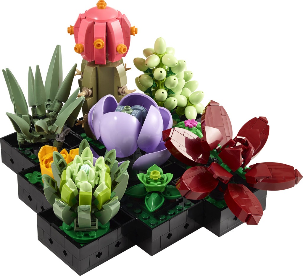 LEGO Botanical Collection Succulents (10309) and Orchid (10311) Officially  Revealed - The Brick Fan