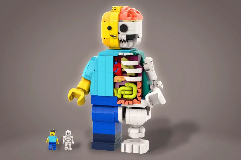 LEGO Ideas LEGO Anatomy Achieves 10,000 Supporters - The Brick Fan