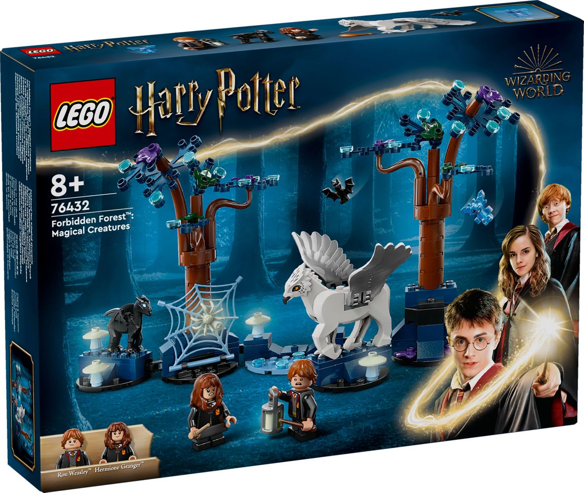 LEGO 2024 Official Product Details - DUPLO, Harry Potter, Marvel